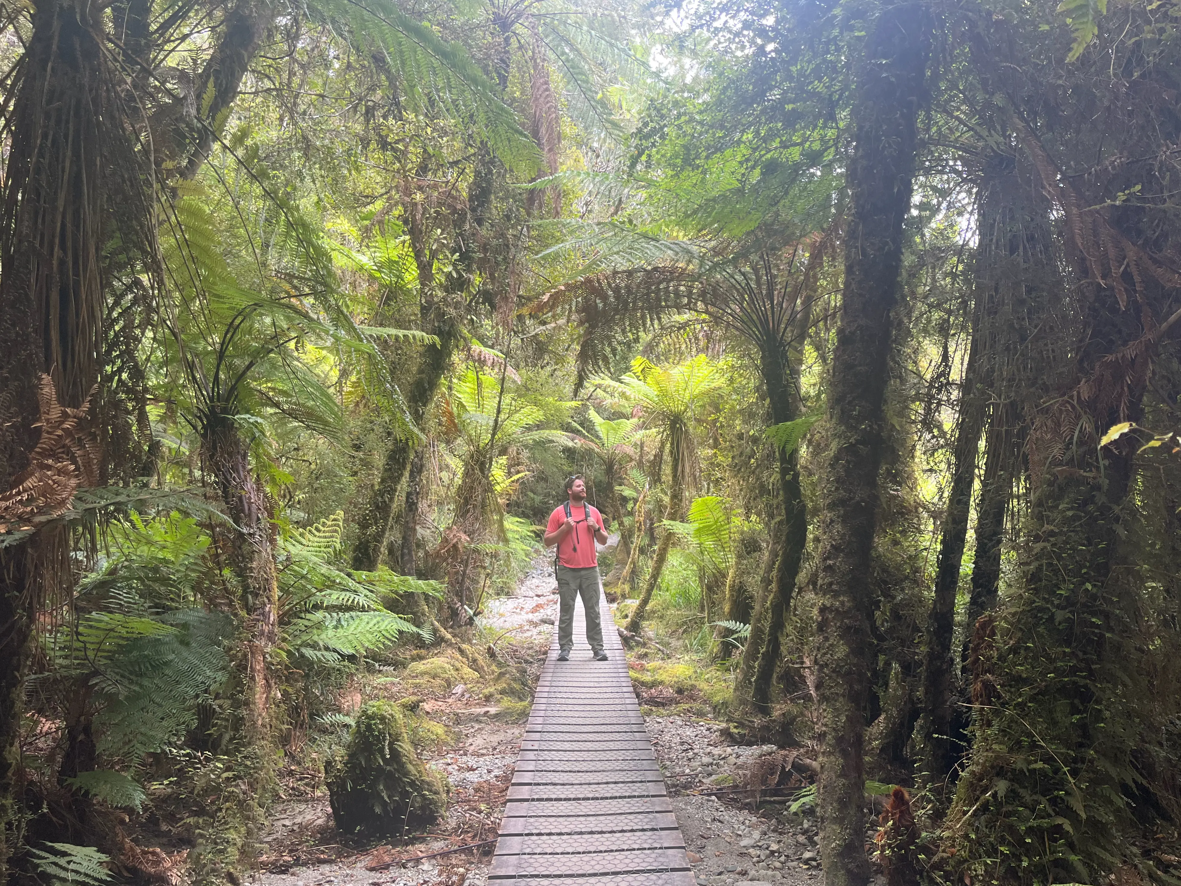 Liam walking through a forest